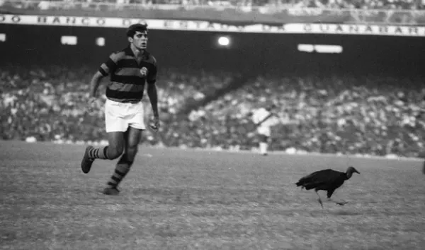 urubu flamengo